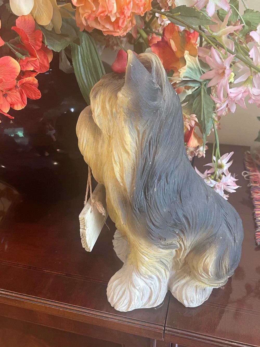 N/A yorkie dog